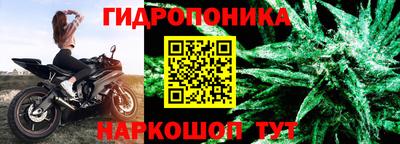 гашишное масло Кингисепп